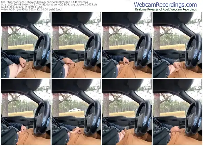 stripchat-themechanic420-02-19-2025-14-18-26