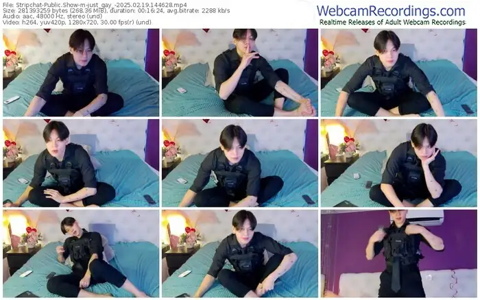 stripchat-just_gay_-02-19-2025-14-46-28