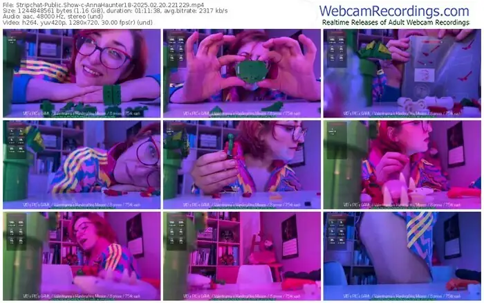 stripchat-annahaunter18-02-20-2025-22-12-29