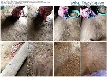 stripchat-indiankanak-02-20-2025-05-47-04