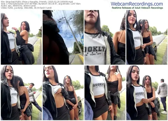 stripchat-naughty_friends_-02-20-2025-19-56-09