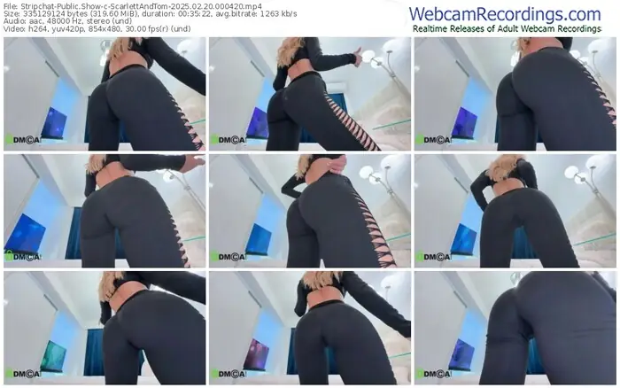 stripchat-scarlettandtom-02-20-2025-00-04-20