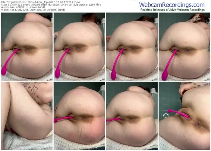 stripchat-anal_top-02-20-2025-12-23-14
