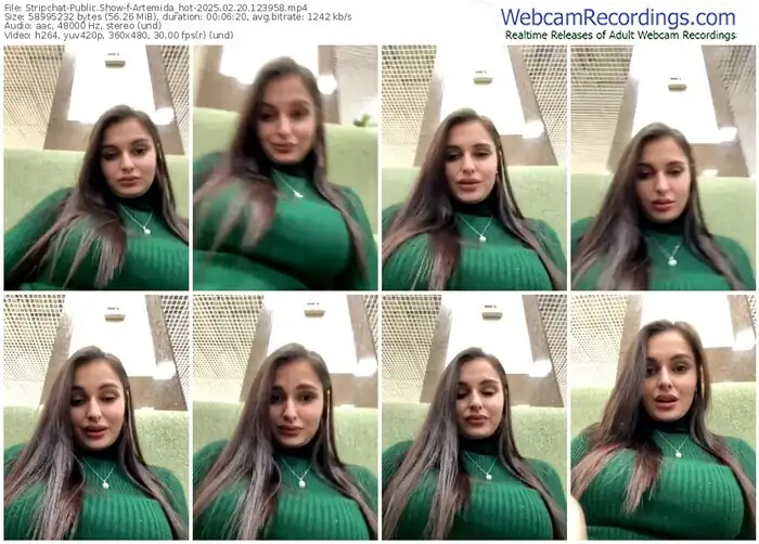 stripchat-artemida_hot-02-20-2025-12-39-58