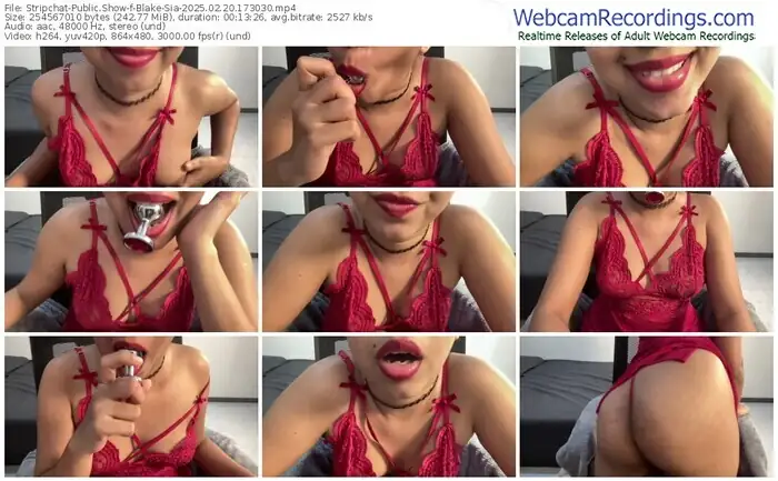 stripchat-blake-sia-02-20-2025-17-30-30