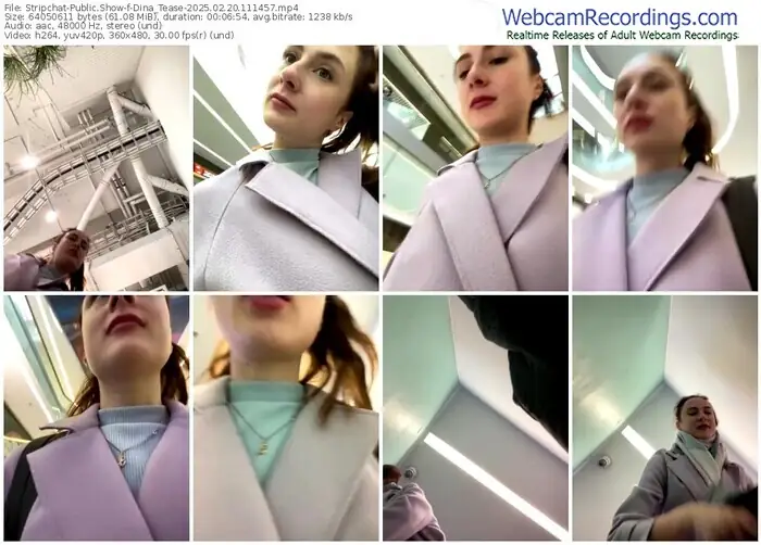 stripchat-dina_tease-02-20-2025-11-14-57
