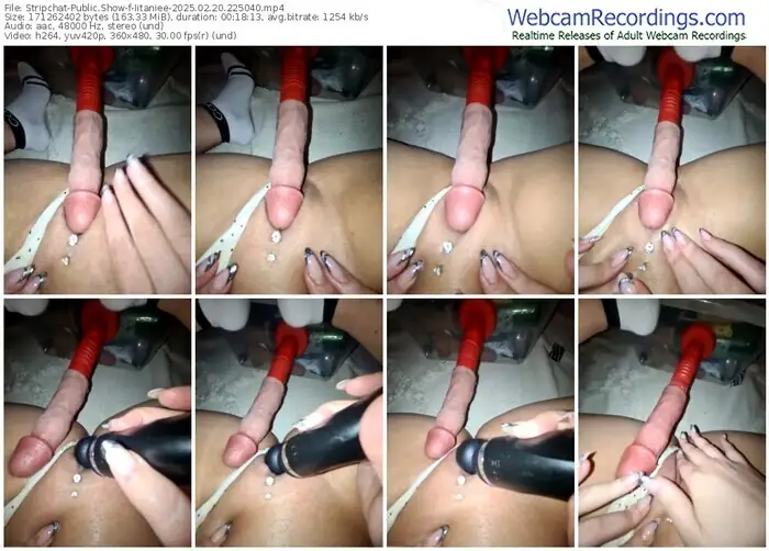 stripchat-iitaniee-02-20-2025-22-50-40