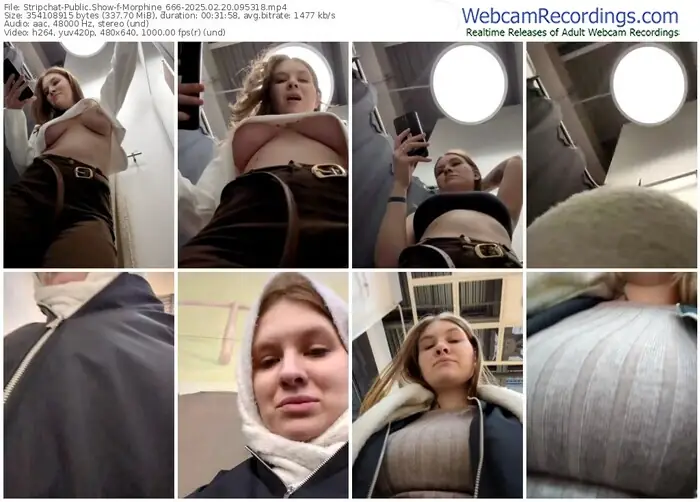 stripchat-morphine_666-02-20-2025-09-53-18