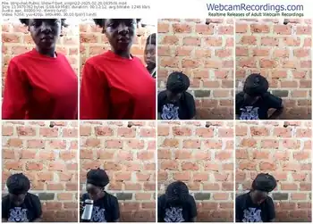 stripchat-swit_virgin22-02-20-2025-06-35-09