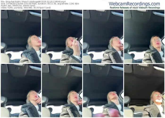 stripchat-casalinga88-02-20-2025-13-45-40