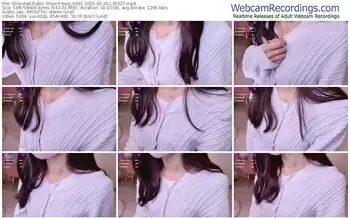 stripchat-meg_0901-02-20-2025-13-53-27