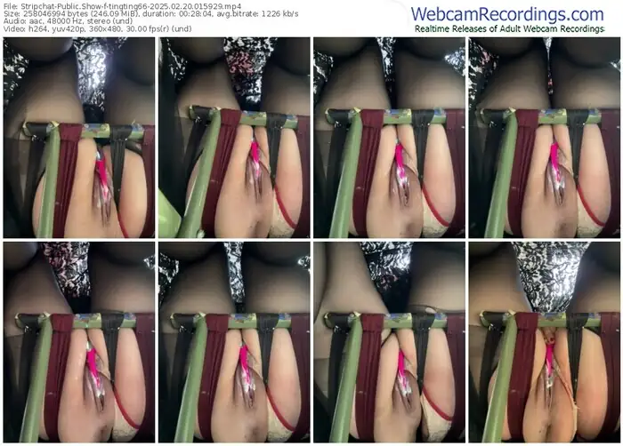 stripchat-tingting66-02-20-2025-01-59-29