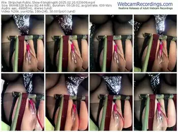 stripchat-tingting66-02-20-2025-02-39-09