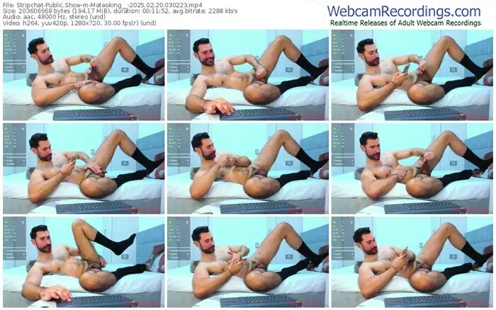 stripchat-mateoking__-02-20-2025-03-02-23