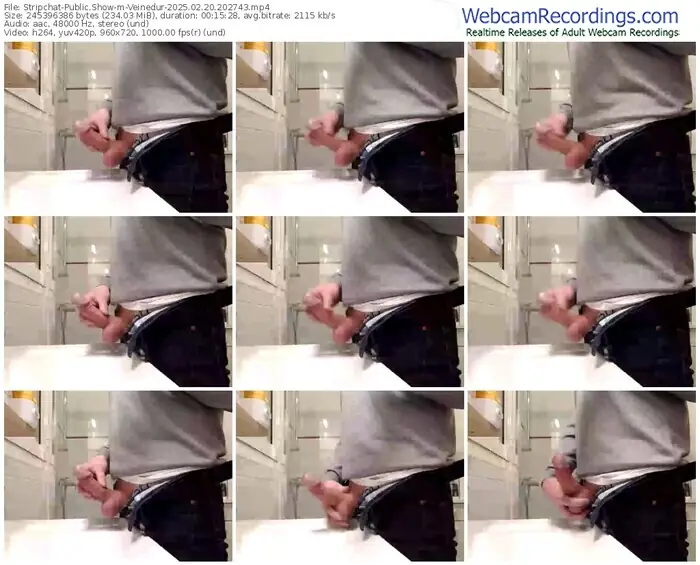 stripchat-veinedur-02-20-2025-20-27-43