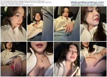 stripchat-peachy_dream-02-21-2025-23-44-15