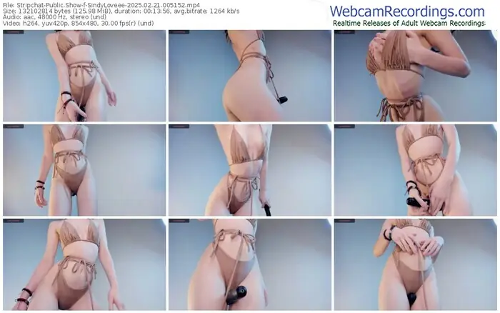 stripchat-sindyloveee-02-21-2025-00-51-52