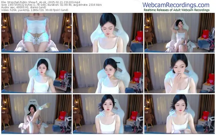 stripchat-_ok-ok_-02-21-2025-23-12-03