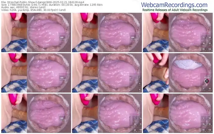 stripchat-danigirl866-02-21-2025-18-41-28