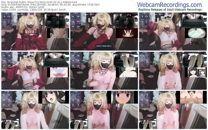 stripchat-z23002-02-21-2025-14-48-09