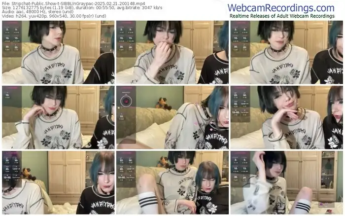 stripchat-sibbllngraypac-02-21-2025-20-01-48