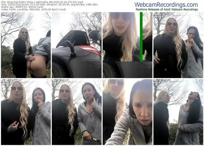 stripchat-aphrodite_88-02-22-2025-07-12-51