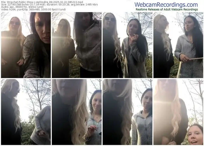 stripchat-aphrodite_88-02-22-2025-08-52-13