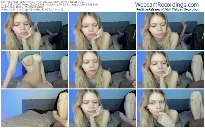 stripchat-chansetolove-02-22-2025-14-03-41