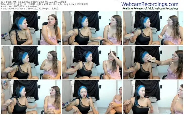 stripchat-sgmr-02-22-2025-13-46-33