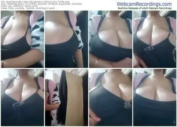 stripchat-boobshere--02-22-2025-17-23-35