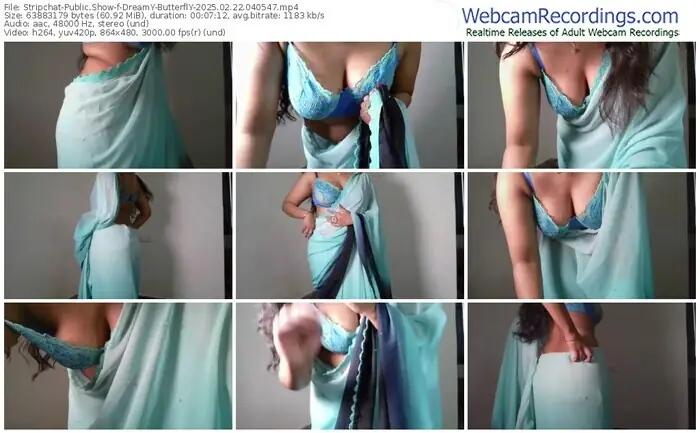 stripchat-dreamy-butterfly-02-22-2025-04-05-47