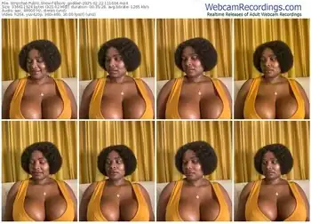 stripchat-ebony_goddez-02-22-2025-11-16-04