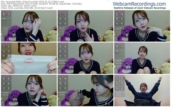 stripchat-n_hibiki-02-22-2025-15-38-12