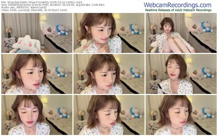 stripchat-onekitty-02-22-2025-14-39-11