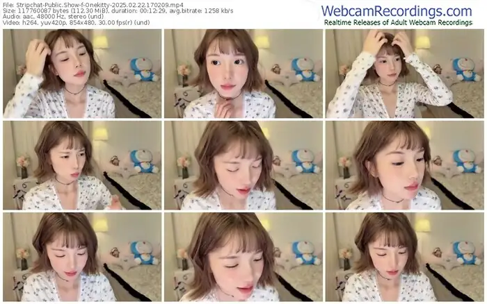 stripchat-onekitty-02-22-2025-17-02-09