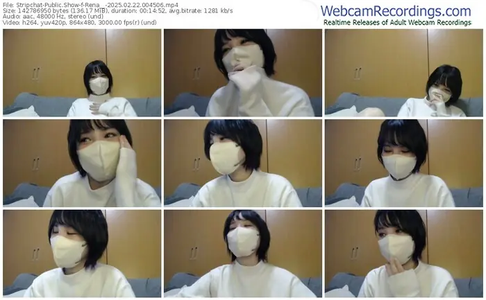 stripchat-rena__-02-22-2025-00-45-06