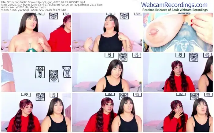 stripchat-spicysugar_-02-22-2025-02-53-42