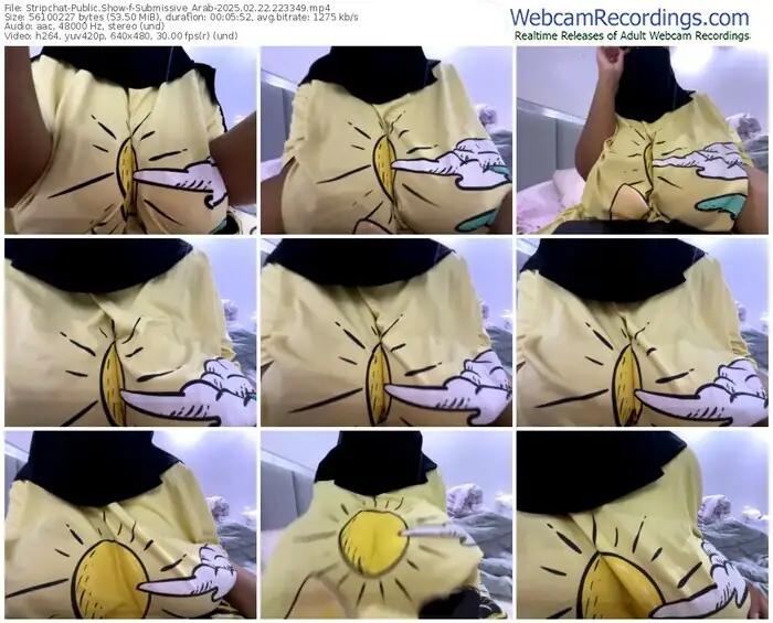 stripchat-submissive_arab-02-22-2025-22-33-49