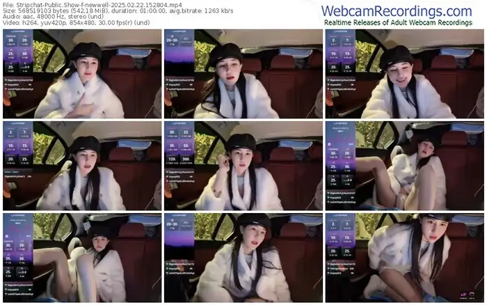 stripchat-newwell-02-22-2025-15-28-04