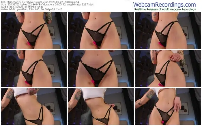 stripchat-sugar_club-02-22-2025-19-18-26