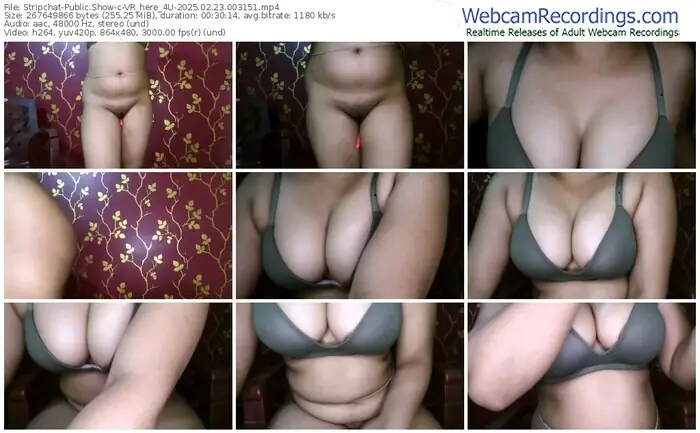 stripchat-vr_here_4u-02-23-2025-00-31-51