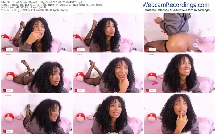 stripchat-heily_fox-02-23-2025-06-43-22