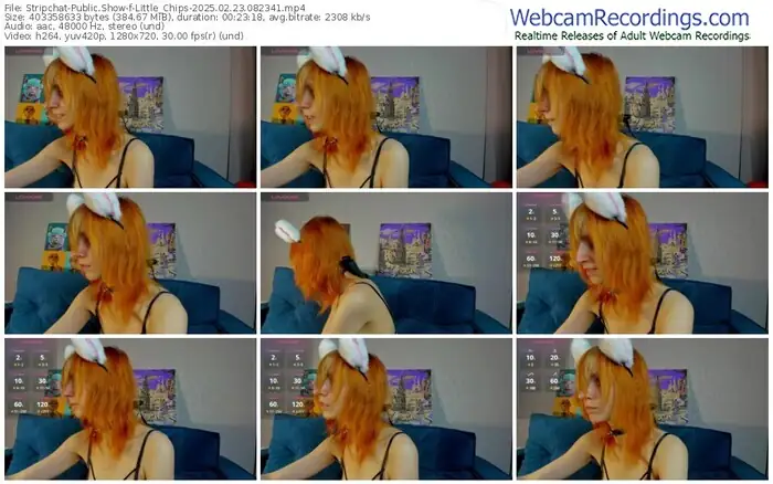 stripchat-little_chips-02-23-2025-08-23-41