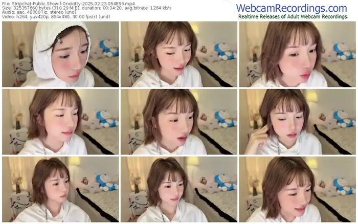 stripchat-onekitty-02-23-2025-05-48-56