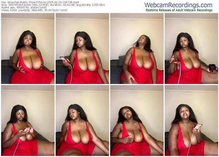 stripchat-pmiss-02-23-2025-19-47-38