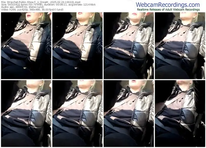 stripchat-_u_dream_-02-23-2025-10-02-21