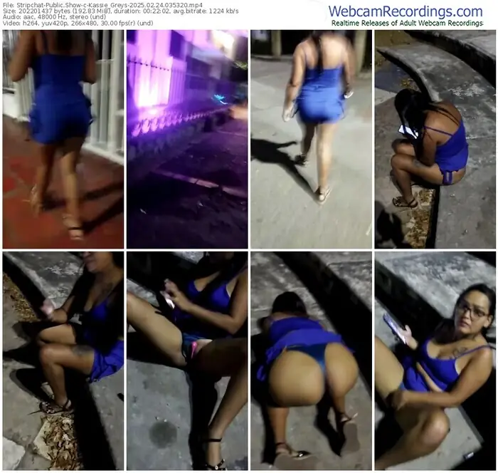 stripchat-kassie_greys-02-24-2025-03-53-20