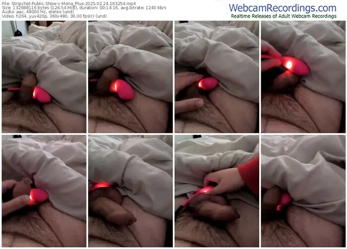 stripchat-mona_plus-02-24-2025-16-32-54