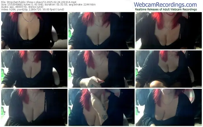 stripchat-diavo72-02-24-2025-20-19-14