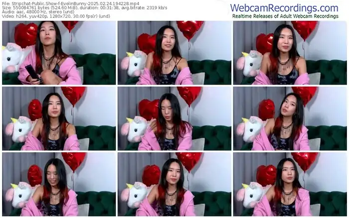 stripchat-evelinbunny-02-24-2025-19-42-28